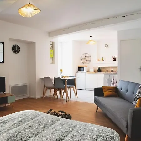Grand L'hermitage Apartment Sainte-Gemme-sur-Loire
